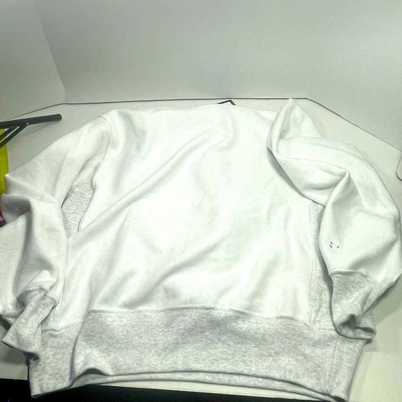 BNWT Champion Reverse Weave Park City Distressed Hoodie Unisex/Men’s M - Picture 3 of 16